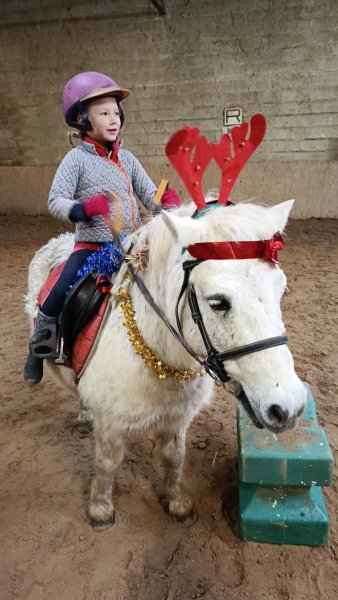 Les Écuries de VieuxChamps - photo 2