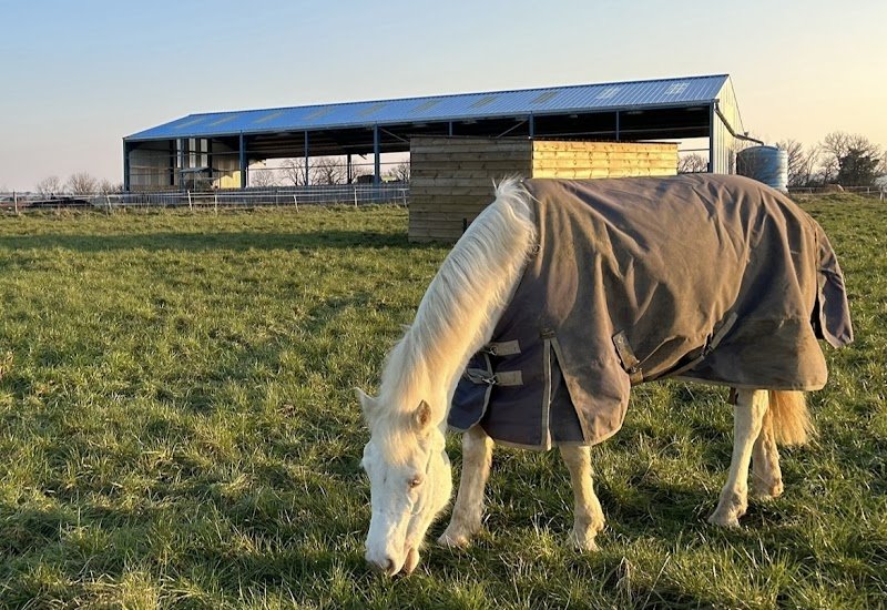 Centre équestre de Thénissey