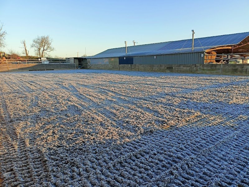 Ecuries du Chemin de Frénois, Vincent Heurtebize - photo 2