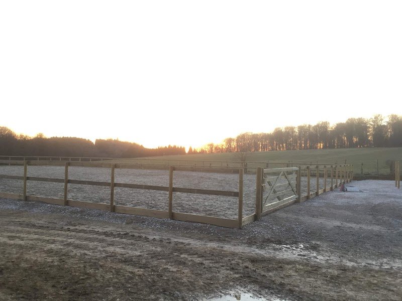 Écurie du Chaufour - photo 1