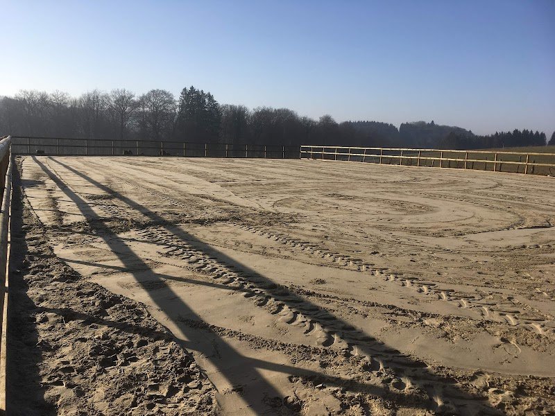 Écurie du Chaufour - photo 2