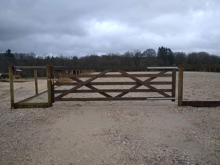 Écurie du Chaufour - photo 3