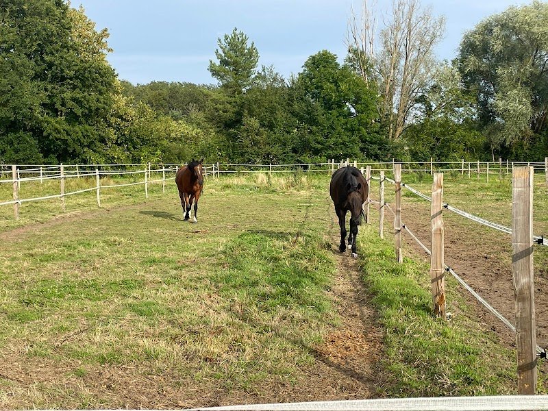 Ecuries d'Aimer - photo 2