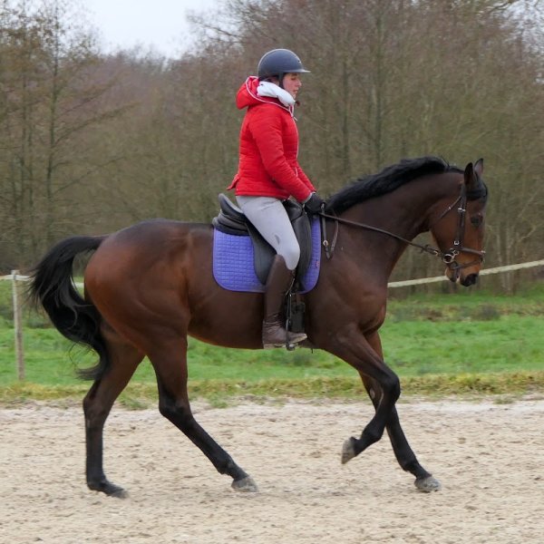 Ecuries d'Aimer - photo 3