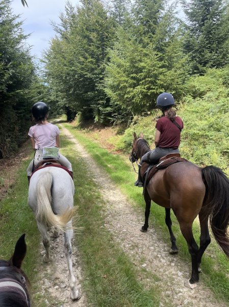 A Hue et A Dia / Sommant Horse Team - photo 2