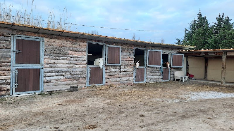 Les Écuries D'A.S.K - photo 1