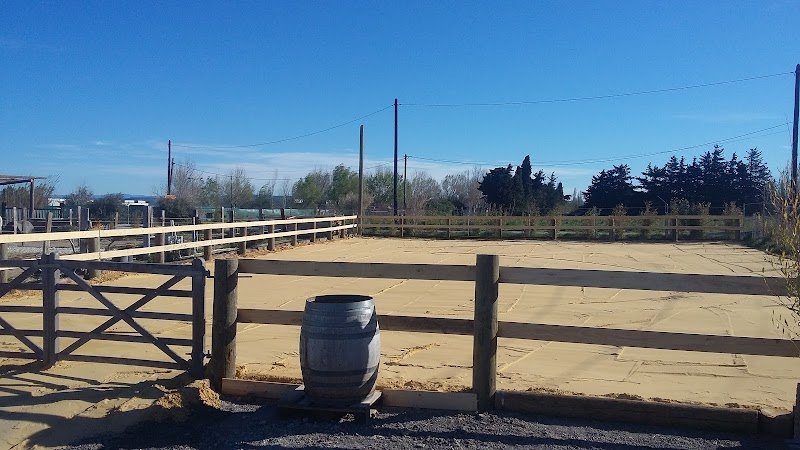 Les Écuries D'A.S.K - photo 2