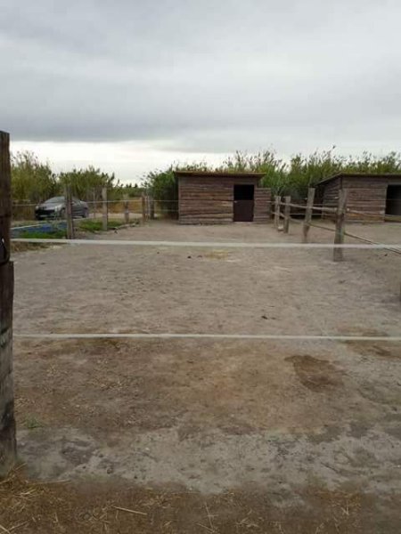 Les Écuries D'A.S.K - photo 3