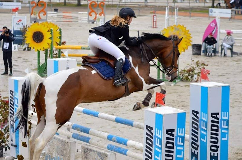 Haras de Castel - photo 2