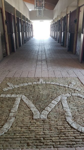 Ecurie A La Vaquera - photo 2