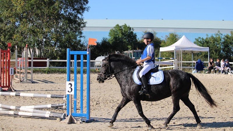 Ecuries Lalye GUILLAUMEE CHANTAL - photo 1