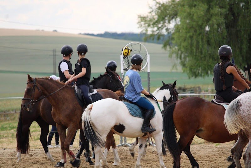 Ecuries Lalye GUILLAUMEE CHANTAL - photo 2