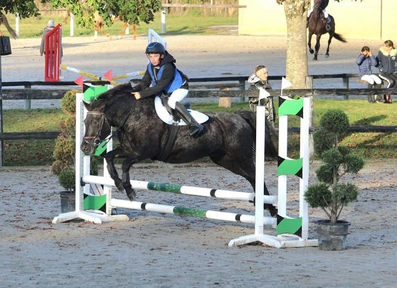 Ecuries Lalye GUILLAUMEE CHANTAL - photo 3