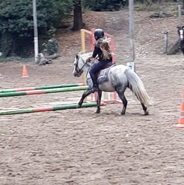 Poney-Club de la Suize - Association Equipassion