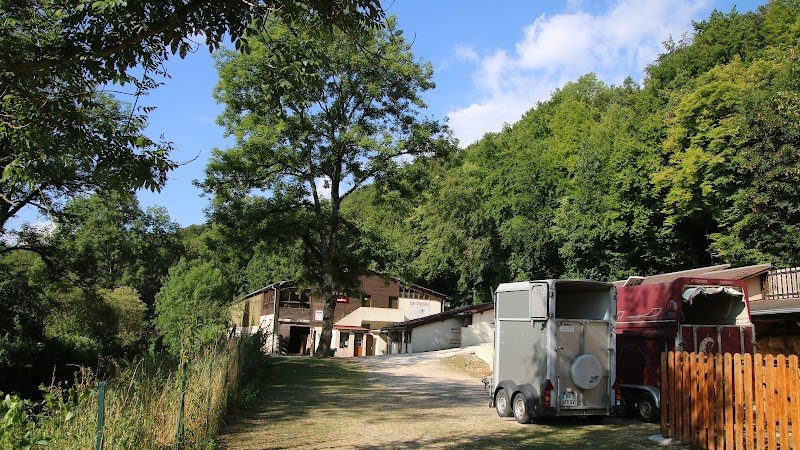 Poney-Club de la Suize - Association Equipassion - photo 2