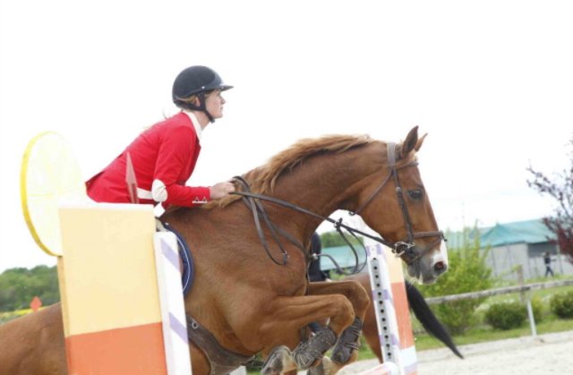 Haras Du Meix - photo 1