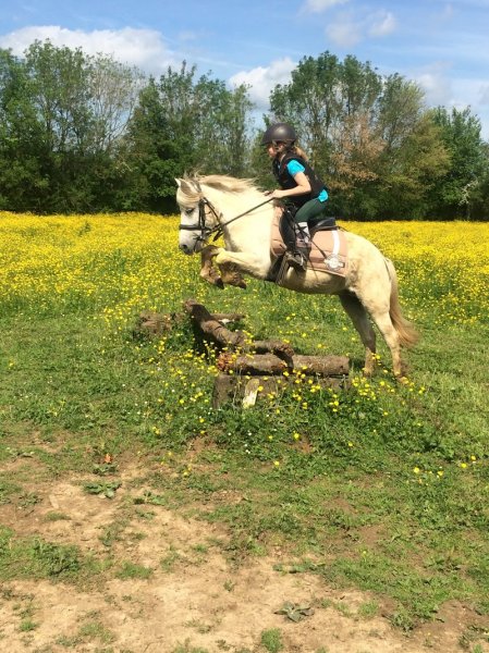 Haras Du Meix - photo 2