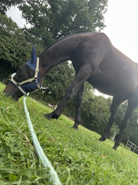 Domaine Equestre des Dakotines - photo 1