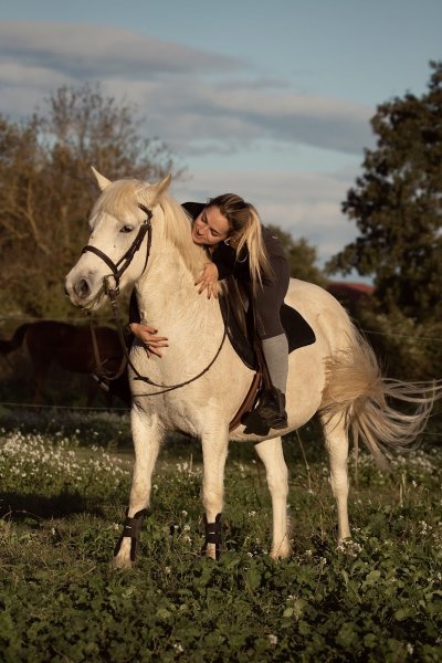 Haras des Canaux - photo 2