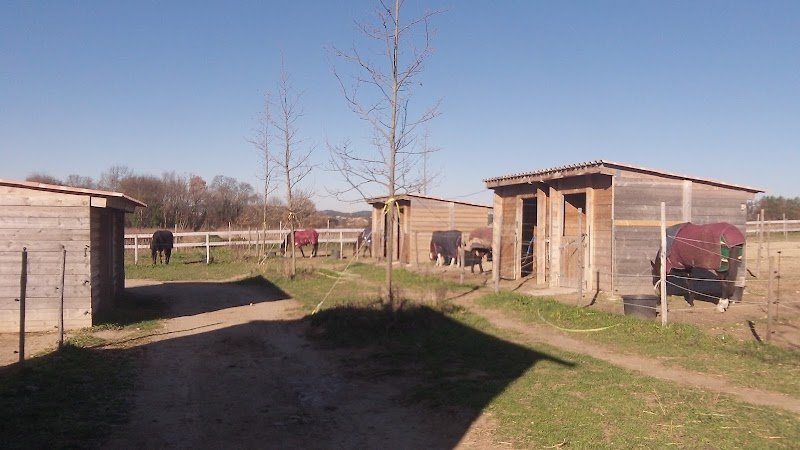 Haras des Canaux - photo 3