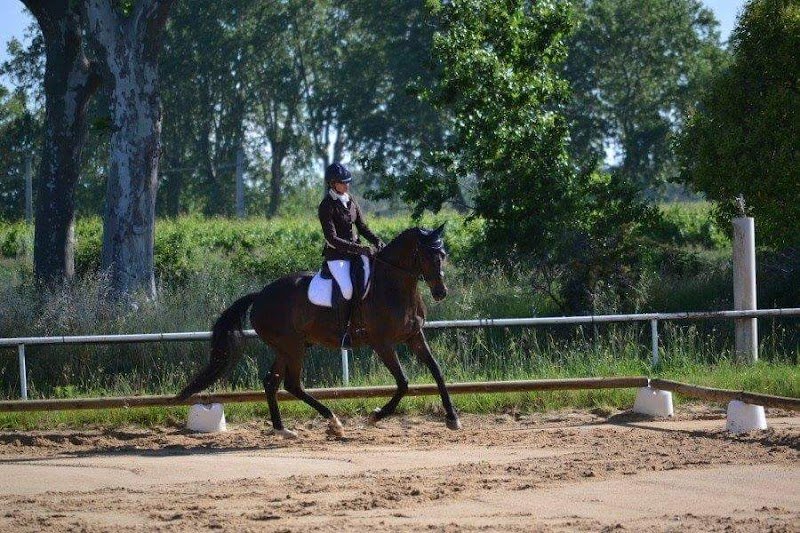 LES ECURIES DU REDON - photo 2