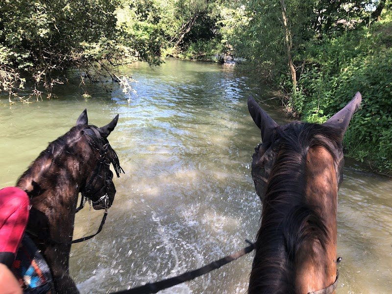 Écurie des Dolines - photo 1
