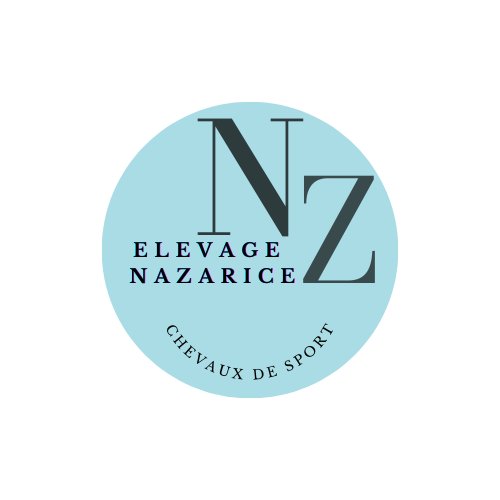 Écurie Chailly en biere - Elevage nazarice - photo 3