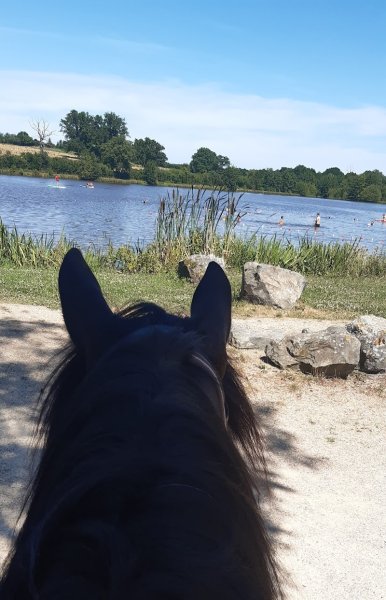 Ferme équestre du berger - photo 1