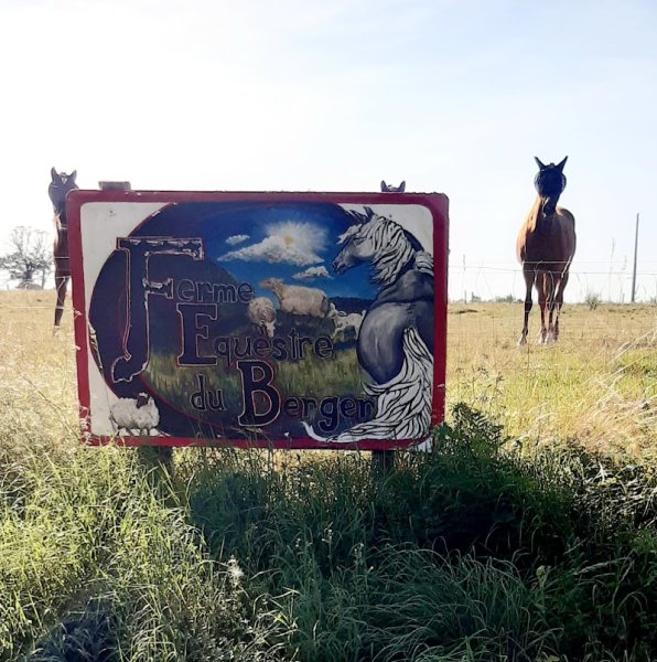 Ferme équestre du berger - photo 2