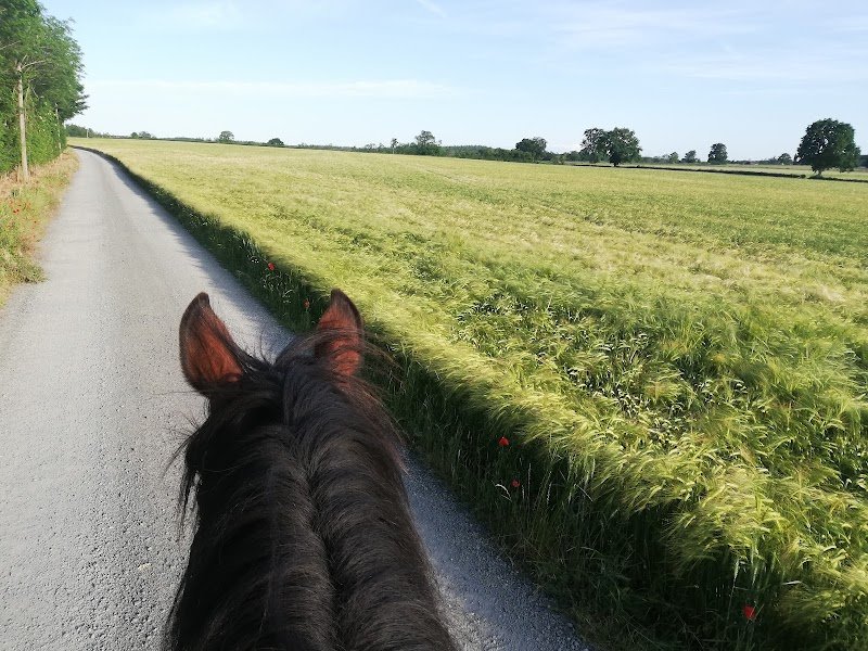Ferme équestre du berger - photo 3