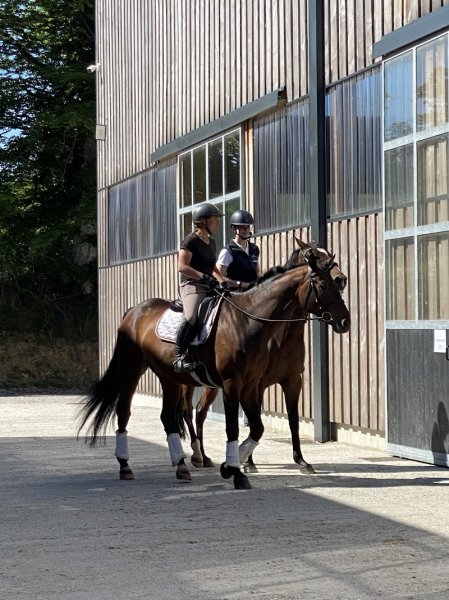 Les Ecuries de Normandel