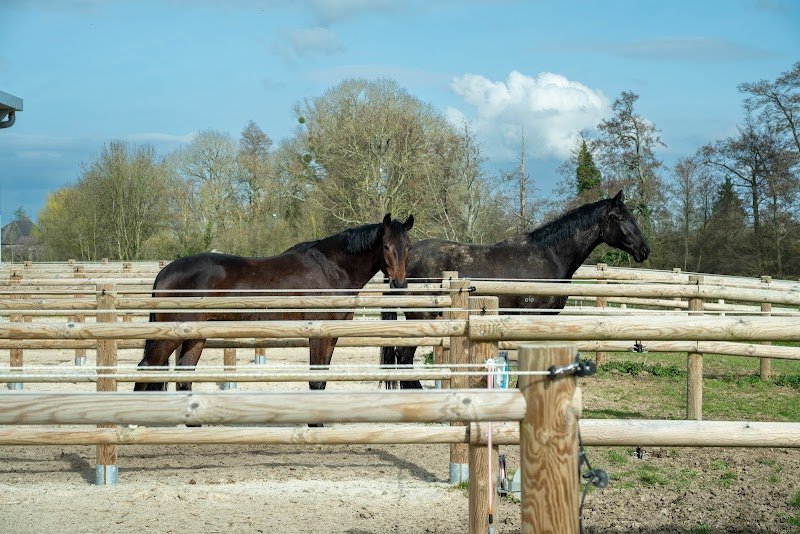 Les Ecuries de Normandel - photo 2