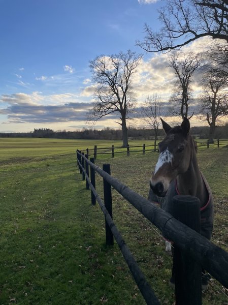 Ecuries de La Pouprière - photo 2