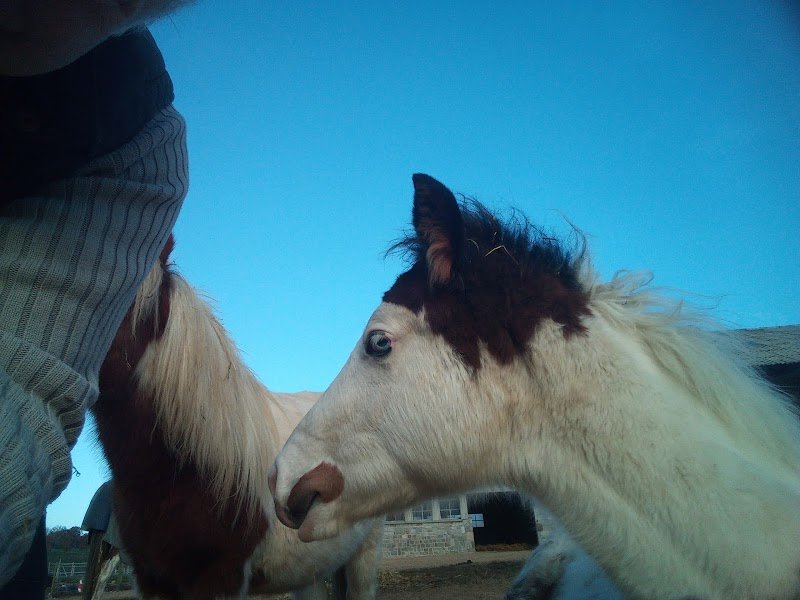 Ecurie Chey’Zen - photo 1