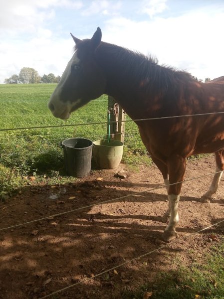 Ecurie Chey’Zen - photo 2