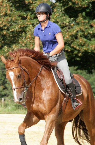 Écuries d'ELIZEC - photo 2