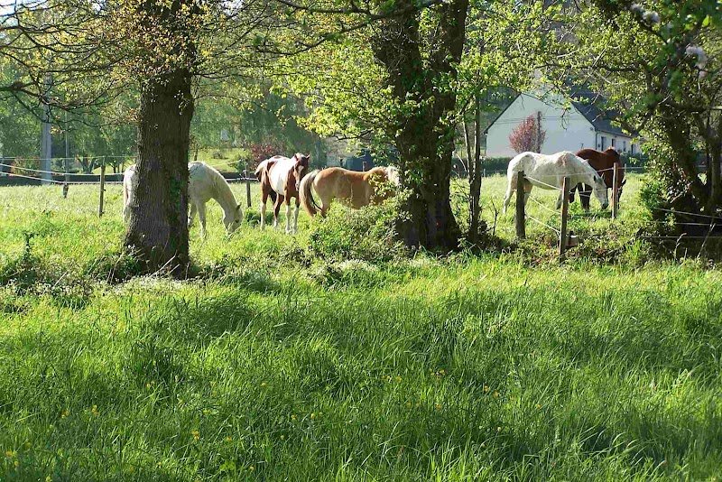 Ecuries de la Justiere - photo 1