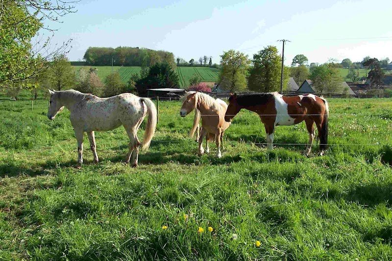 Ecuries de la Justiere - photo 2