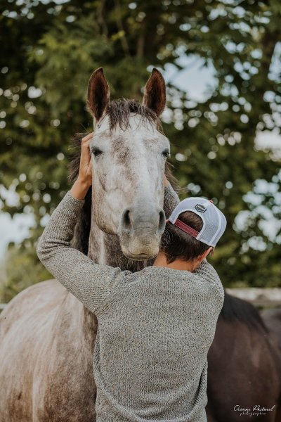 Haras du Bois de Bretel, Pension Elevage pour chevaux - photo 1