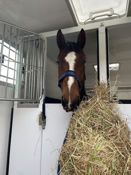 Pension Ecurie Active Equi'Libre