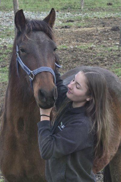 Pension Ecurie Active Equi'Libre - photo 3