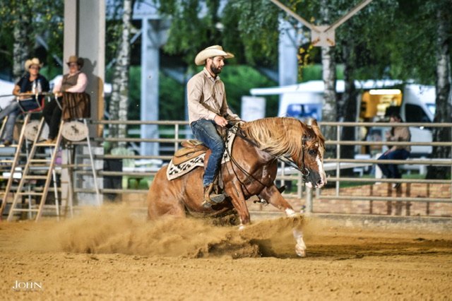 Ecurie Blessed stables - photo 2