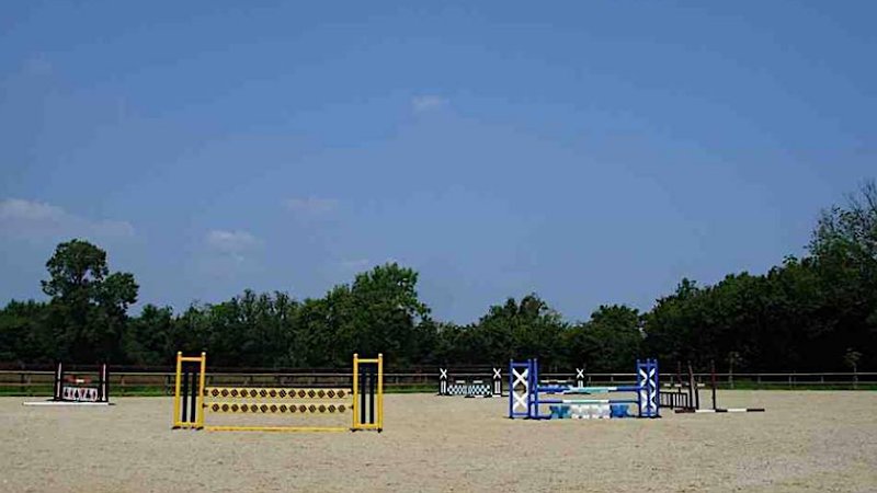 Ecurie La Hagriére Élevage du tourtel