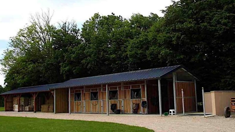 Ecurie La Hagriére Élevage du tourtel - photo 2