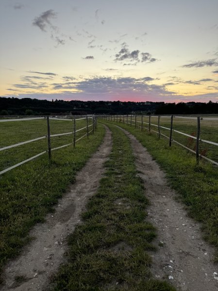 Ecurie de Flicourt - photo 2