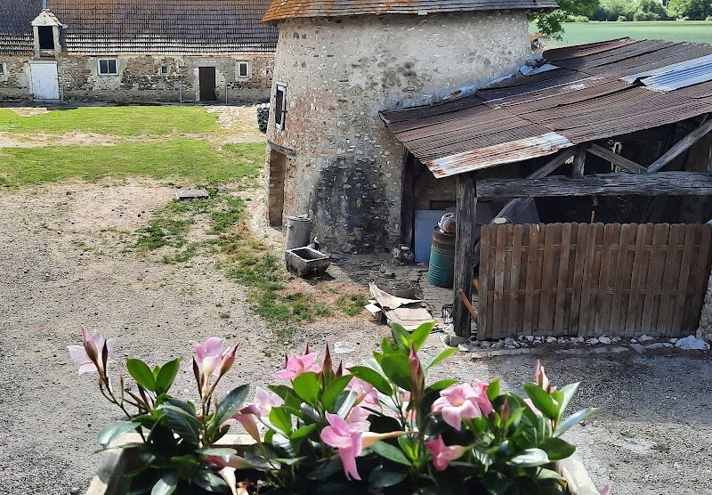 Ecurie de Flicourt - photo 3