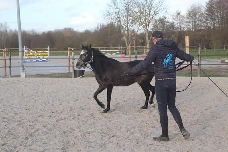 Écurie de la Noirie - photo 2