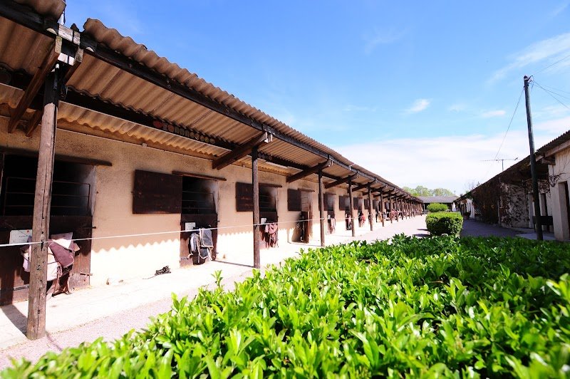 Domaine Equestre de Chevillon - photo 2