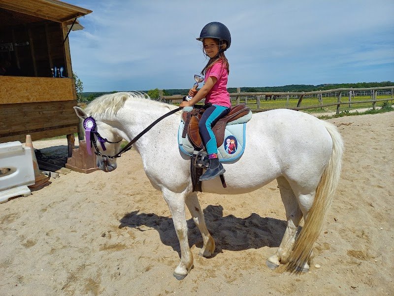 LES ECURIES DU SOUVERAIN - photo 2