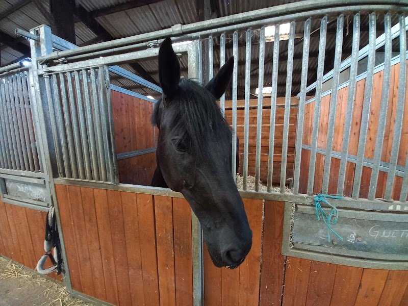 Ecuries Julie Carbonare - photo 2